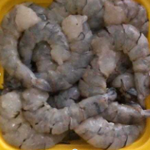 Load image into Gallery viewer, Volta Tiger Prawn