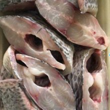 Load image into Gallery viewer, Volta Tilapia