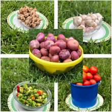 Load image into Gallery viewer, Glo Essential Vegetables