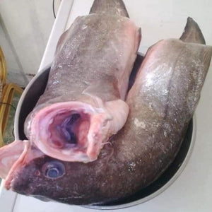 Cod Fish (Armah)