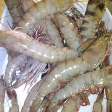 Load image into Gallery viewer, Fresh Prawns
