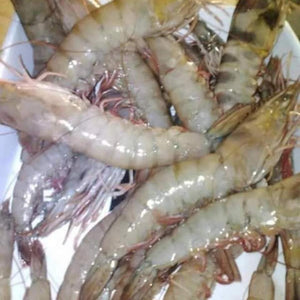 Fresh Prawns