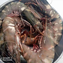 Load image into Gallery viewer, Fresh Prawns
