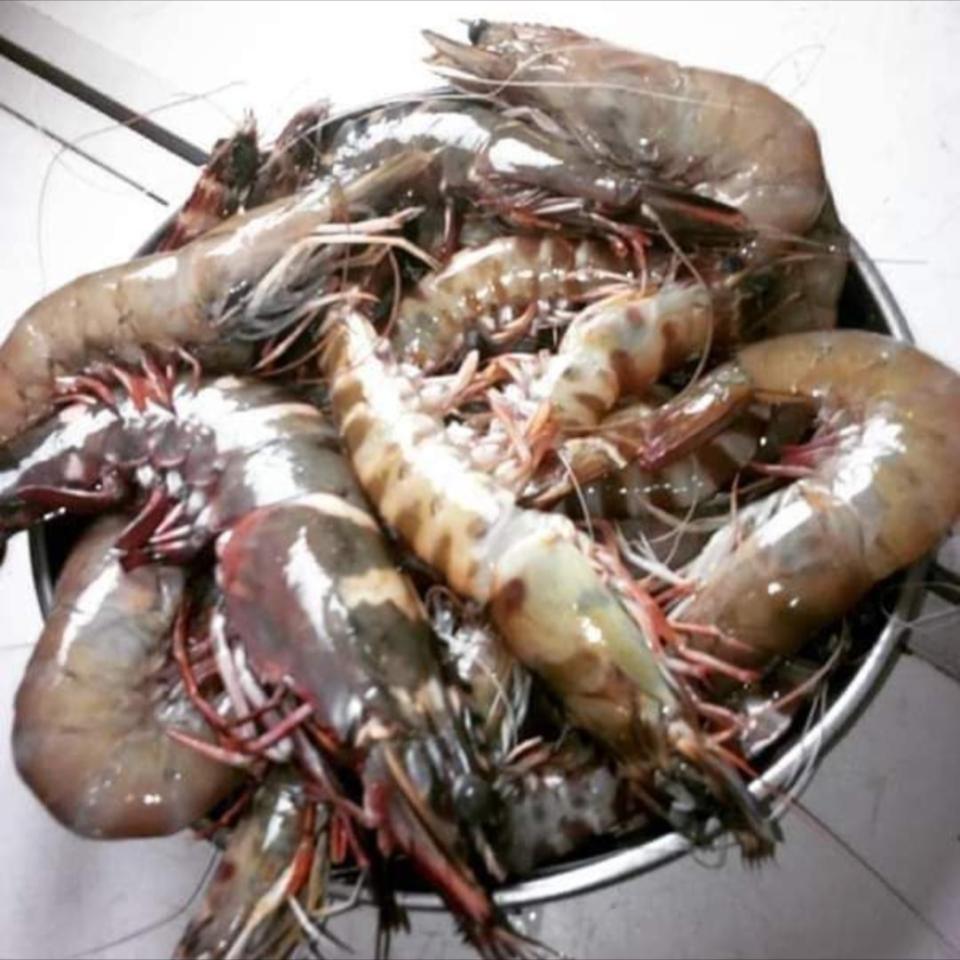 Prora Fish Fresh Prawns – ghanajom